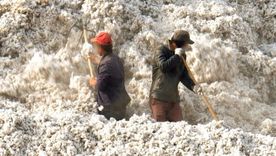 Más de un millón de trabajadores realizan duros trabajos de recolección de algodón en Xinjiang bajo condiciones cuestionables.