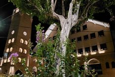 Estos enclaves son ideales para relajarse y conocer.