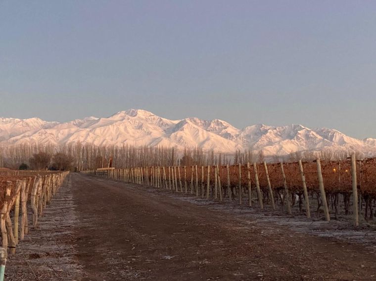 Las heladas afectarán algunas zonas del Sur y Valle de Uco Foto: Oyente MDZ Radio
