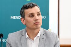 El nuevo directivo de IMPSA, que viene del semillero del Gobierno. Foto: ALF PONCE MERCADO / MDZ