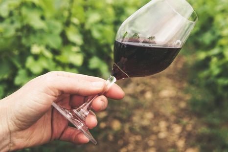 María Laura Ortiz es una talentosa sommelier que lleva la marca Mendoza al mundo.