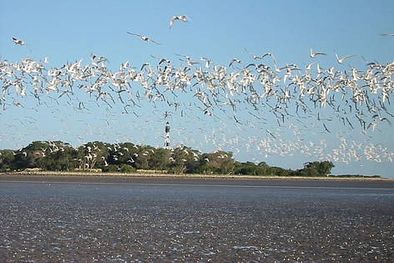 MDZol | El mundo... ¿Se está tomando un respiro?