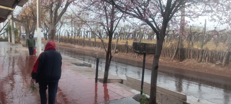 Más de 15 provincias permanecen bajo alerta del Servicio Meteorológico Nacional (SMN), en un contexto donde se prevén tormentas﻿ de intensidad.