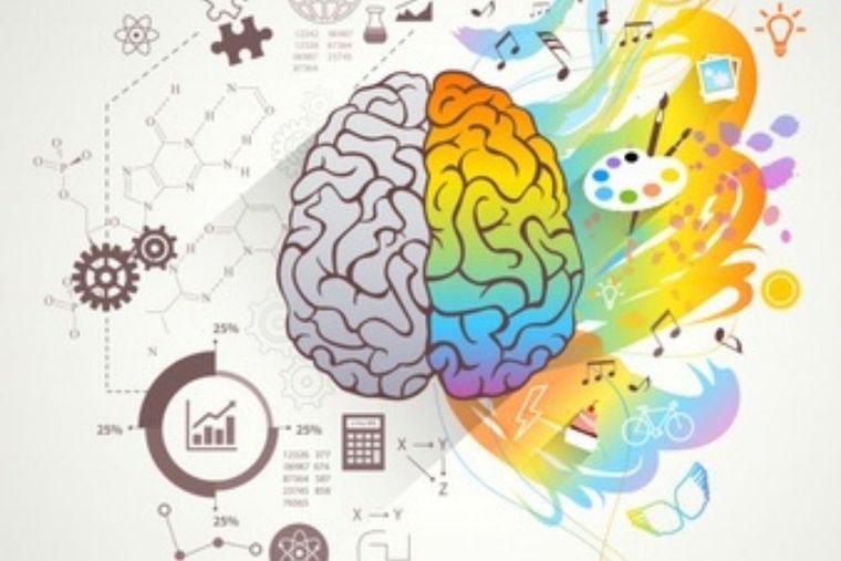 Test Visual test Visual en nuestro Cerebro Foto: Freepik