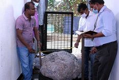 La piedra preciosa de Sri Lanka. Foto: NYPost.