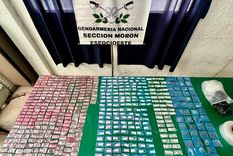Se incautaron 459 dosis de cocaína y 50 envoltorios de marihuana. Foto: GNA