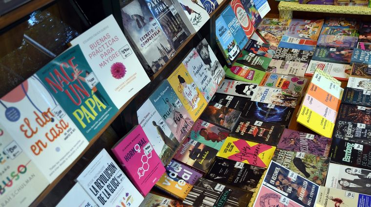 Los libros están cada vez más caros en medio de la inflación Foto: Alf Ponce Mercado / MDZ