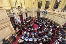 El Senado aprobó el pago a los Fondos Buitre.&nbsp;