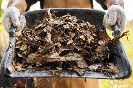 Tres formas de aprovechar las hojas secas en el jardín. Foto: Shutterstock Tres formas de aprovechar las hojas secas en el jardín. Foto: Shutterstock