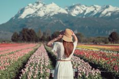 Chat GPT escogió los 6 paraísos para vacacionar en Argentina Foto: Trevelin.tur.ar Chat GPT escogió los 6 paraísos para vacacionar en Argentina Foto: Trevelin.tur.ar