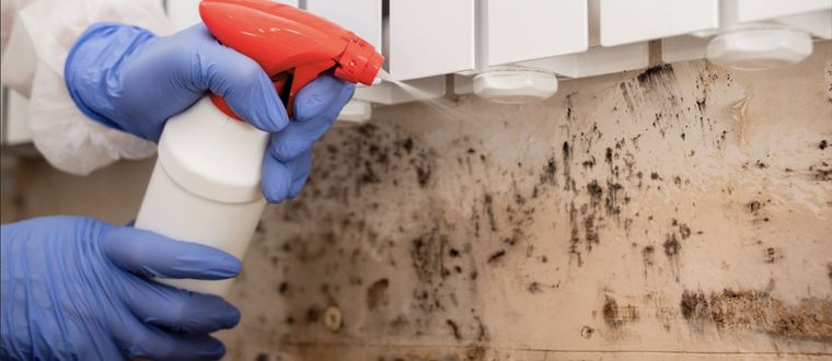 Limpia las paredes de tu hogar con este método natural y biodegradable Foto: Shutterstock