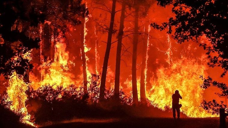 Los fuegos en los que se quema vegetación son los más frecuentes, pero también hay incendios sin llamas Foto: GETTY IMAGES