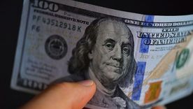 El dólar oficial quieto. El dólar oficial quieto.