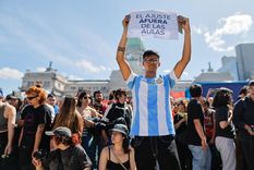 El gobierno resolvió suspender la aplicación inmediata de ambas leyes debido al impacto fiscal en las cuentas públicas. El gobierno resolvió suspender la aplicación inmediata de ambas leyes debido al impacto fiscal en las cuentas públicas.