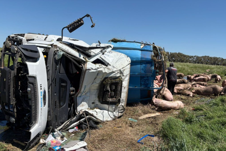 El hecho ocurrió en la Ruta 7. El hecho ocurrió en la Ruta 7.