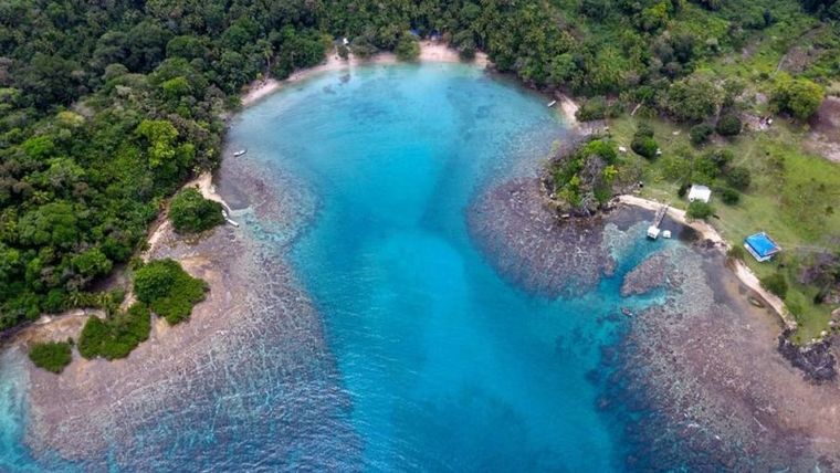 Los modelos de economía azul pueden ofrecer soluciones para satisfacer el incremento de consumo de manera sostenible y de forma resiliente al clima. Foto: GETTY IMAGES