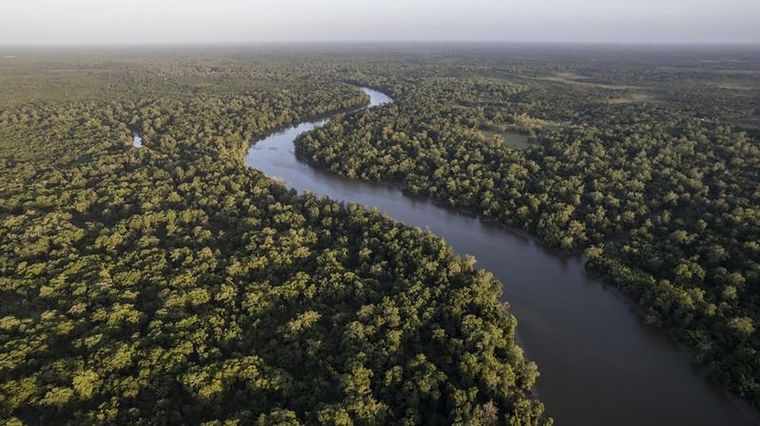 Una expedición brasileña buscará medir el río Amazonas desde su nacimiento hasta su desembocadura, para así determinar su longitud real. Foto: GETTY IMAGES