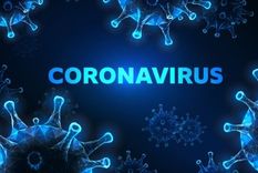 El Sars-CoV-2 es el nuevo integrante de la familia de los coronavirus.