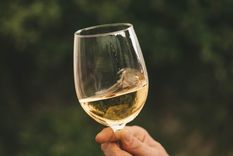 Chardonnay: un vino delicioso.