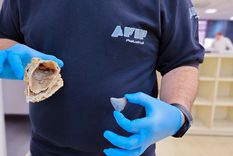 Según la Aduana, el envío postal proveniente de Florida había sido declarado como que el envío era de piedras decorativas. Foto: Aduana / Afip