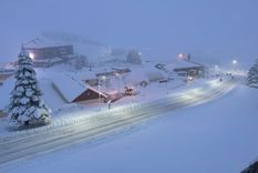 La ruta que conduce hasta Las Leñas se encuentra peligrosa, y es fundamental tener ciertas precauciones a la hora de viajar hacia el centro de esquí Foto: Archivo MDZ.