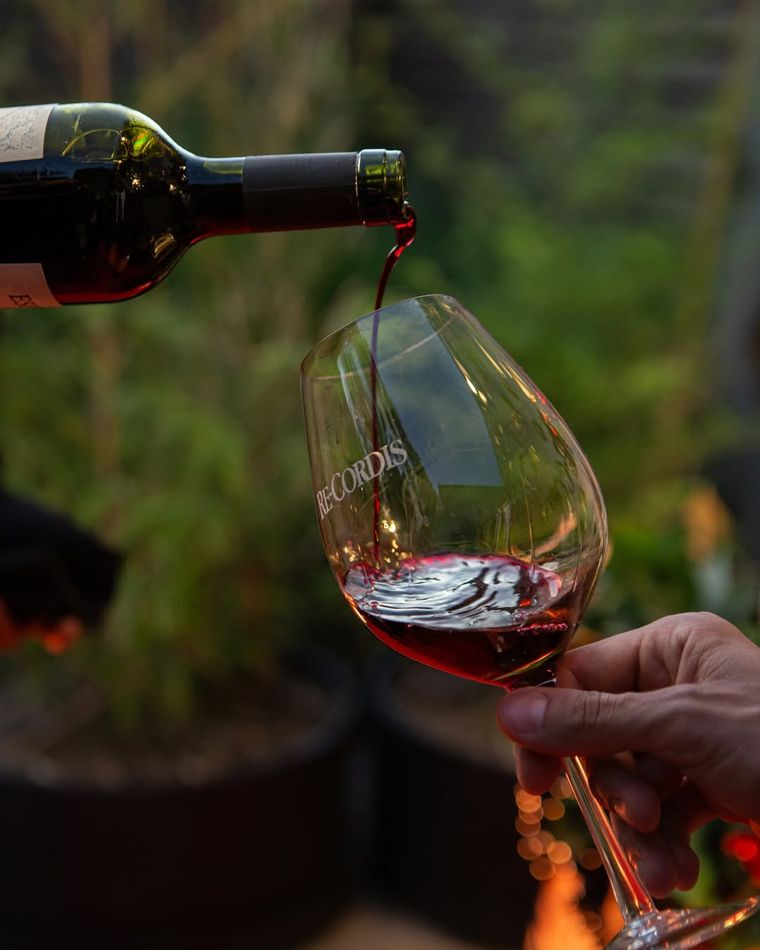 Gualtallary, el prestigioso terroir del Valle de Uco donde nacen las etiquetas "Parpadeo", "Miradas" y "Espejos". Gualtallary, el prestigioso terroir del Valle de Uco donde nacen las etiquetas "Parpadeo", "Miradas" y "Espejos".