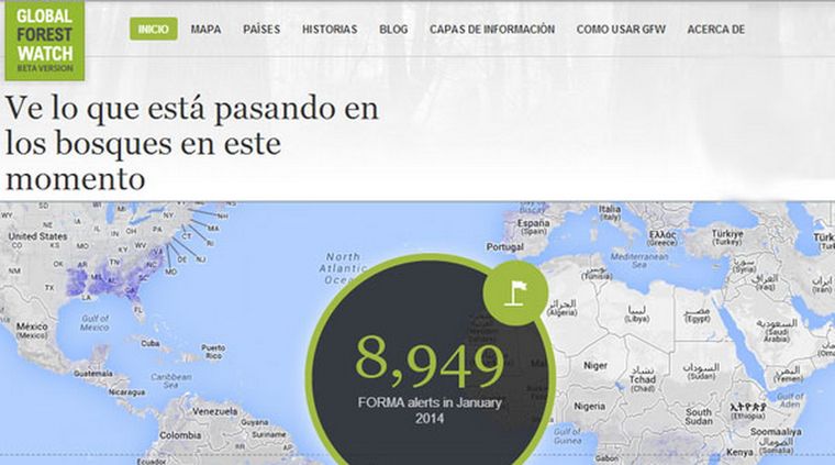 522338.jpg