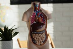 Así funciona la iniciativa de la Universidad Nacional de Córdoba que permite donar el cuerpo para la formación médica y la investigación. Foto: UNCiencia