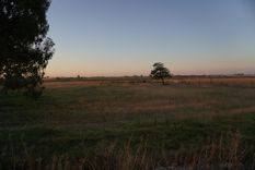 La primavera invita a recorrer pueblos de Buenos Aires donde se respira tranquilidad, buena gastronomía y cultura local.