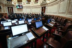 La Cámara de Senadores, sin la oposición Foto: Télam La Cámara de Senadores, sin la oposición Foto: Télam