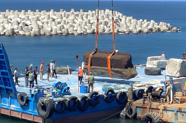 Hallazgo increíble.