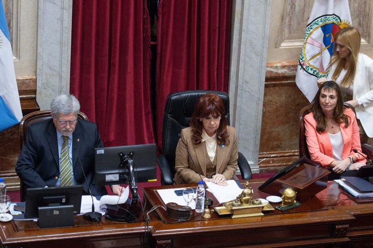 Senado En minutos se vota en el Senado el pliego de Ana María Figueroa. Crédito: Télam Foto: Télam