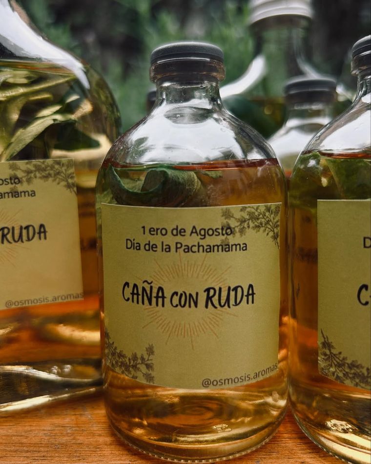 cada 1 de agosto, mucho toman un sorbo de caña con ruda al amanecer. cada 1 de agosto, mucho toman un sorbo de caña con ruda al amanecer.