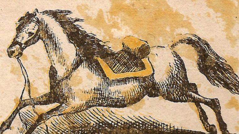 ACERTIJO VISUAL ACERTIJO VISUAL, RETO VISUAL, JINETE Foto: ARCHIVO