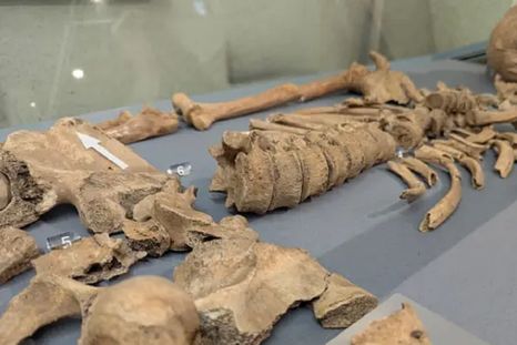 El esqueleto del joven fue hallado durante una excavación en York en 2004. Foto: Universidad de York