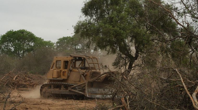 Foto: web.Refaf.org.ar