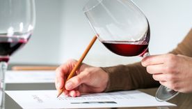 Una oportunidad para conocer el estado del muno del vino argentino actual.