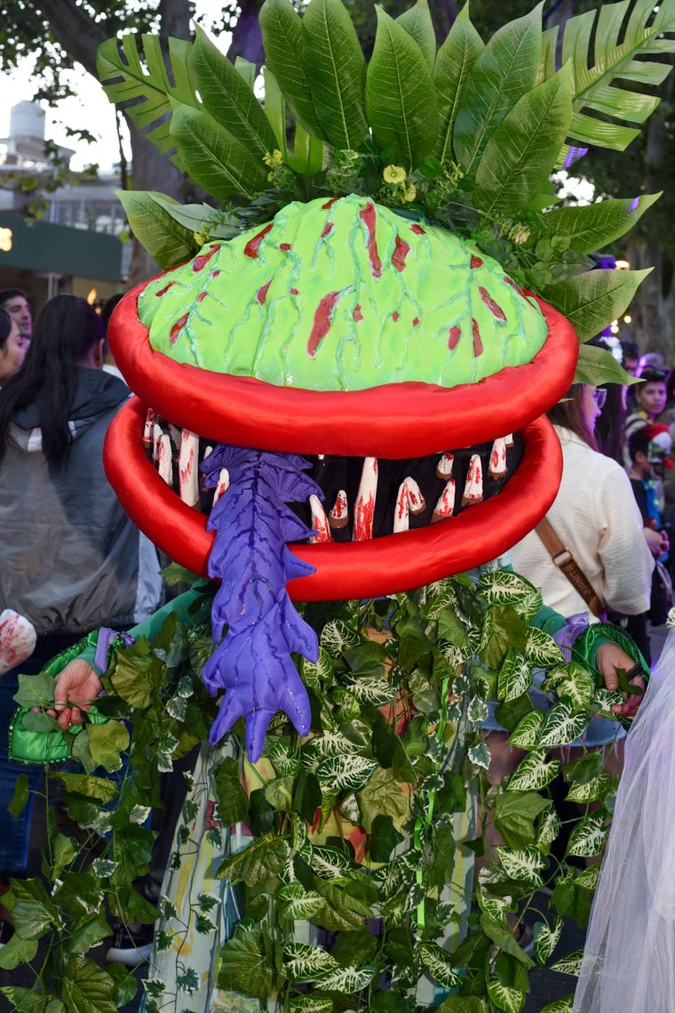 Una planta carnivora también se presentó en la Arístides.