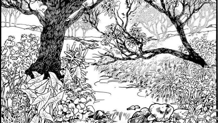 ACERTIJO VISUAL ACERTIJO VISUAL, RETO VISUAL, ANIMAL Foto: ARCHIVO