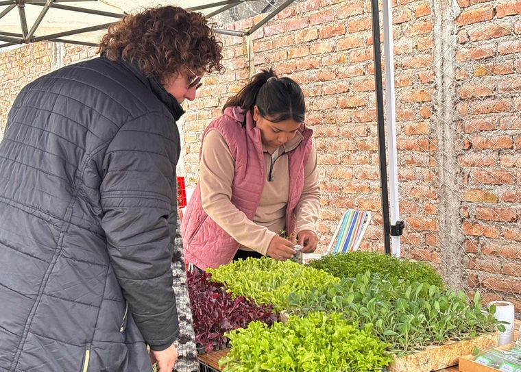 María Janco (22), de Vista Flores, sigue los mismos pasos que su papá: guardar semillas para la próxima siembra María Janco (22), de Vista Flores, sigue los mismos pasos que su papá: guardar semillas para la próxima siembra