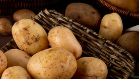 como guardar las papas para que duren mas y no se llenen de brotes, segun expertos