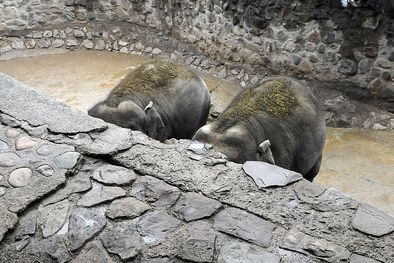 MDZol | Foto: Alf Ponce / MDZ