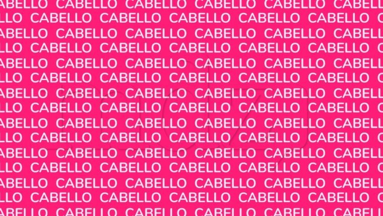 Acertijo visual, reto visual, palabra Fuente: MDZ Online Foto: Archivo MDZ