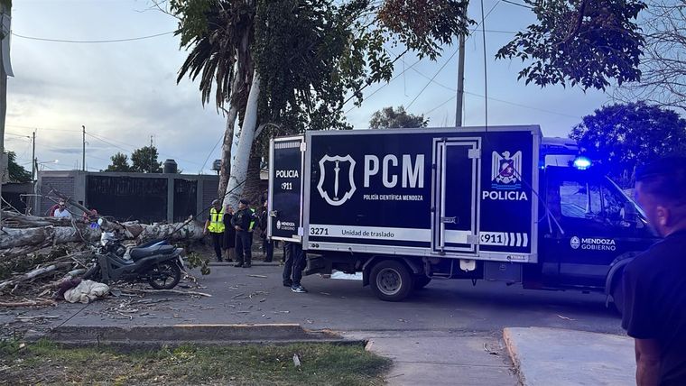 En el lugar trabajó Policía Científica. En el lugar trabajó Policía Científica.