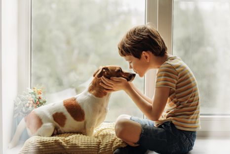 Algunas razas de perros son más pacientes y sociables con niños que otras. Foto: Shutterstock Algunas razas de perros son más pacientes y sociables con niños que otras. Foto: Shutterstock