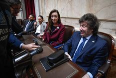 Milei Javier Milei y Victoria Villarruel deben dejar sus bancas para asumir los cargos de presidente y vice Foto: Noticias Argentinas Milei Javier Milei y Victoria Villarruel deben dejar sus bancas para asumir los cargos de presidente y vice Foto: Noticias Argentinas