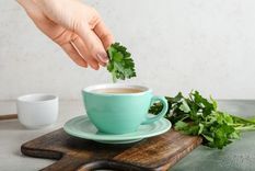 Favorece un cuerpo sano y en armonía con este té de perejil. Foto: Archivo