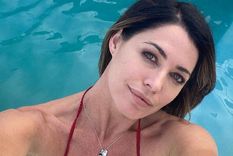 ¿como es la increible mansion en la que vive pamela david en mendoza?