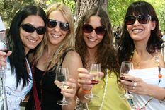Brindis de amigas. Foto: archivo MDZ