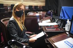 Foto: Prensa Senado de la nación